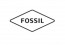 fossil