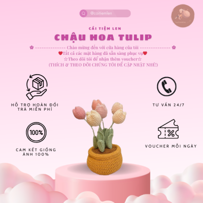 Chậu Hoa TuLip Handmade- Cái Tiệm Len